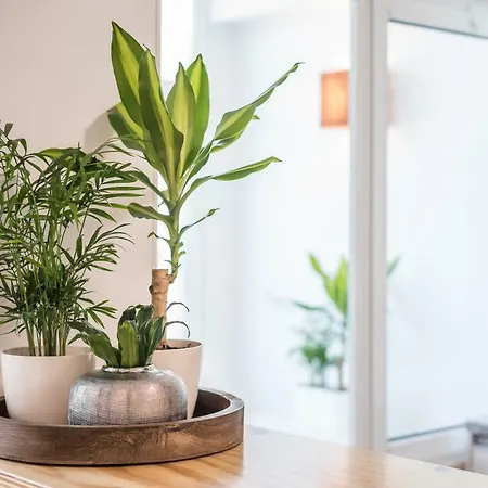 Guestready - Terraco Da Ines Apartment Porto